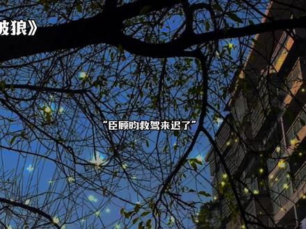 当初就是杰大开头这一句我去听了整季广播剧还把原文也补了 好听的我想哭😭
#杀破狼 #顾昀 #长庚