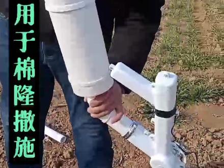 #抖音助农 棉隆撒药大姜肥药大姜种植