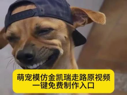 萌宠模仿金凯瑞走路ai视频一键制作教程来了#小云雀AI #小云雀爆款马上成片 #小云雀seedance #芯有云雀创作飞跃 #由小云雀seedance2