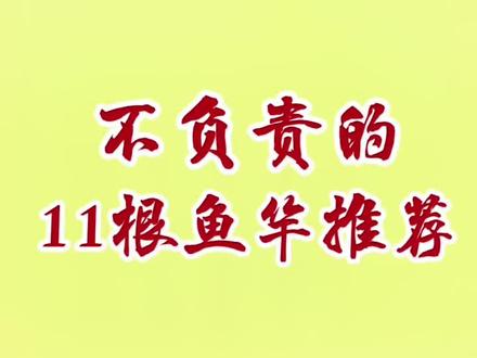 测评了一百多根鱼竿后,我做了这一期鱼竿推荐#科学钓鱼 #鱼竿测评