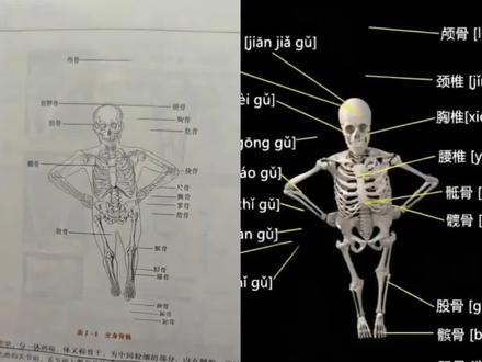 库里之歌舞蹈教程 库里之歌舞蹈ai库里之歌舞蹈库里之歌完整版 库里之歌ciallo库里之歌原唱信息#剪映#库里之歌舞蹈挑战 #库里之歌舞蹈#随时随地挑战库里之歌#库里之歌 谁还没听过库里之歌 库里之歌太上头了 库里之歌简谱 库里之歌翻唱 库里之歌伴奏 库里之歌舞蹈特效 库里之歌舞蹈ai特效 库里之歌舞蹈特效教程 库里之歌舞蹈ai特效教程 库里之歌舞蹈特效制作 库里之歌舞蹈制作特效 库里之歌舞蹈特效制作教程 库里之歌舞蹈制作教程 库里之歌舞蹈特效生成指令库里之歌舞蹈ai生成指令 库里之歌舞蹈特效指令 库里之歌舞蹈ai指令 库里之歌舞蹈指令 库里之歌舞蹈特效口令库里之歌舞蹈口令 库里之歌舞蹈特效入口 库里之歌舞蹈制作入口 库里之歌舞蹈教程入口 库里之歌舞蹈ai生成方法 库里之歌舞蹈生成方法 库里之歌舞蹈ai制作方法 库里之歌舞蹈免费制作教程 库里之歌舞蹈免费制作入口 库里之歌舞蹈免费制作方法库里之歌舞蹈ai一键生成 库里之歌舞蹈一键剪同款 ai特效免费制作教程 库里之歌和二次元的适配度 库里之歌改编挑战