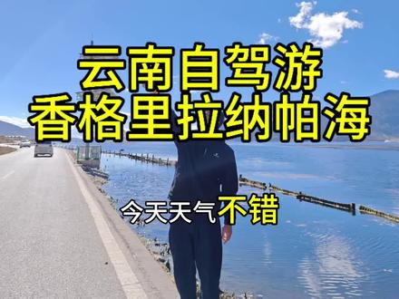 云南自驾游,香格里拉纳帕海#纳帕海 #云南自驾游