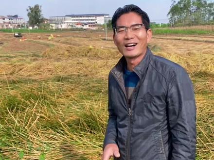 马蹄价格博弈,每个人都有心中的价位,谁也不确定什么时候卖最得价#三农 #马蹄荸荠 #马蹄价格 #马蹄种植技术 #挖马蹄