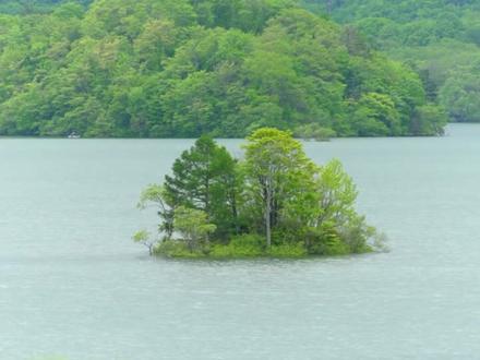 好歌推荐《心归处》完整版 星辰妙漫 #心归处 #心归处完整版 #心归处星辰妙漫 #青年创作者扶持计划 #音乐种草计划
城市喧嚣脚步匆忙
压力像乌云遮住阳光
心在疲惫中迷失方向
渴望找到宁静的地方
就像小船漂泊在海洋
寻找港湾能安心停靠
我知道那地方在心上
让我们奔向宁静的乡野
听鸟儿欢唱风在轻轻和
看那花儿开云朵在飘着
所有疲惫全都被忘了
乡村小道洒满阳光
微风轻拂麦浪在摇晃
溪水潺潺流淌着时光
这里就是心中的天堂
让我们奔向宁静的乡野
听鸟儿欢唱风在轻轻和
看那花儿开云朵在飘着
所有疲惫全都被忘了
生活的难题暂时放一放
随着这节奏身体轻轻晃
享受这片刻自在的时光
烦恼都消散在微风之上
让我们奔向宁静的乡野
听鸟儿欢唱风在轻轻和
看那花儿开云朵在飘着
所有疲惫全都被忘了