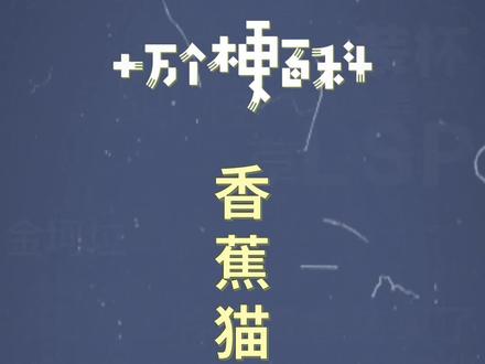 十万个梗百科:香蕉猫就只会哭!看看人家隔壁happy猫多正能量~
#香蕉猫#表情包 #沙雕