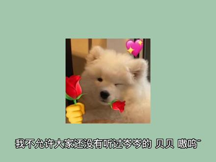 #cv岑先生 #岑岑 #baby 都来听贝贝嗷呜~可爱岑上线