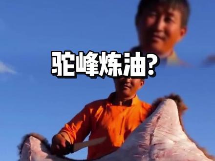 驼峰肉炼油! 真是活久见?#奇葩 #奇葩美食 #奇葩美食大搜罗 #你吃过吗 #骆驼 #骆驼峰 #国外美食 @抖音小助手 @DOU+小助手