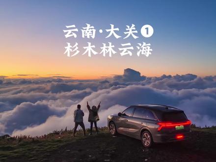 云南大关杉木林,小众而绝美的乌蒙山云海。#全新蓝山 #魏牌为你而变 #魏牌 #蓝天学长在云南 #蓝天学长