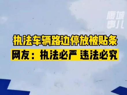 4月9日,河南平顶山。#执法车辆路边停放被贴条 网友:执法必严违法必究