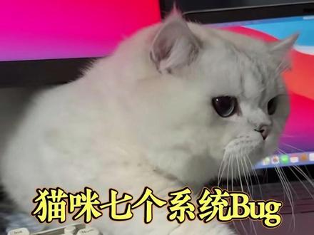 一招解决猫的七个BUG #猫咪 #科学养宠攻略 #萌宠出道计划 #新手养猫