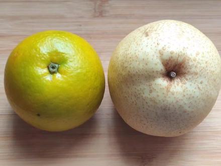 雪梨搭配橙子,作用实在太厉害了,喉咙像吞刀片的朋友一定要试试 #梨子 #梨 #水果 #咳嗽小妙招 #清热润肺 #水果神仙吃法 #砀山梨 #止咳 #雪梨热橙汤