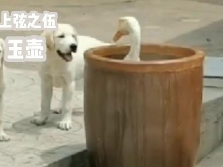 鬼灭之刃:十二鬼月全介绍