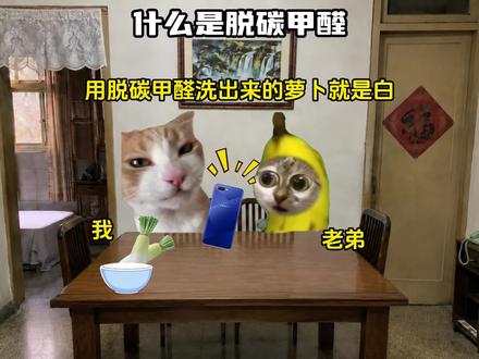 第189集:什么是脱碳甲醛 #猫meme #猫meme搞笑 #脱碳甲醛 #三国杀火栗全开 #三国杀小游戏铠甲勇士联动