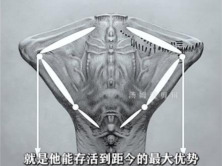 同为深海霸主的巨鲲与玛雅 到底谁的实力更为强悍。#科幻