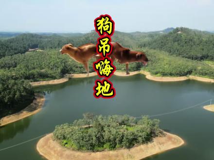 广东廉江江头水库“狗吊嗨地”,你见过吗#深山里的文化瑰宝