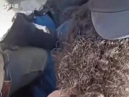 战场不分男女,胜者为王败者为寇