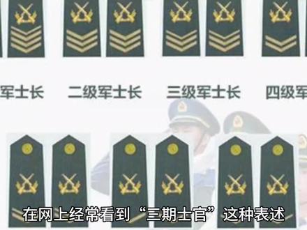 什么是三期士官,和三级士官是一个意思吗 #军旅