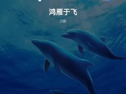 鸿雁于飞正式版已在各音乐平台上线,一年了,终于来了#刀郎#鸿雁于飞 #刀郎新歌 #推歌