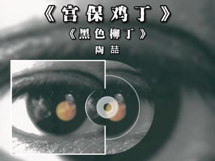 #音乐分享 #陶喆 #黑色柳丁 歌曲《宫保鸡丁》收录于陶喆02年《黑色柳丁》专辑。#每天一首歌