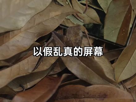 有多强就有多傻!你能玩的6,直接去考研!#手机 #安卓 #三星s23ultra #钛客计划
