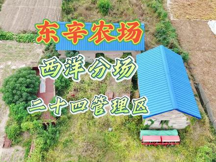 这里是东辛农场西洋分场二十四管理区,即使明知老房子避免不了倒闭的命运,远在他乡的主人也会回来做些简单的维护,以此来希望曾经的房子能支撑久一点!#那间老屋 #老房子的回忆 #像活在旧时光里 #物是人非曲终人散 #东辛农场