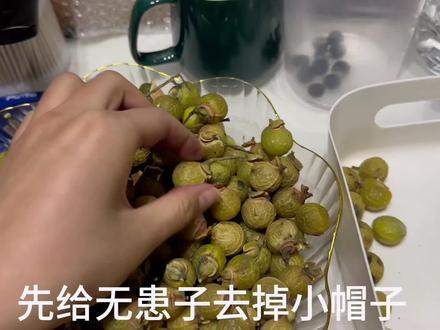 大家催的无患子手串详细教程来了#无患子 #无患子手串