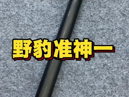 野豹准神一,25年几乎全新成色,价格便宜!#野豹准神一 #野豹球杆 #野豹