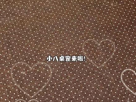 ✨自制小八桌宠!按一按好解压!🐾 灵感来源及制作过程参考@冰糖呼噜(拼豆版)
#拼豆 #真想急头白脸的大拼一场 #抖音第0届拼豆大赛 #拼豆图纸 #拼豆豆