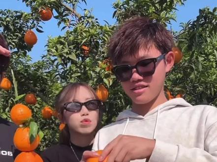 有一种爱叫做来自妈妈的唠叨
东姐叮嘱聪仔说不要吃那些上火的东西#果园采摘 #叶锐聪