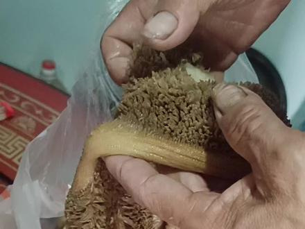 我拍个视频教友友们怎样洗羊肚,有的用盐醋洗,有的用石灰洗,都难去掉羊肚上面毛毛。#味道好极了你们想吃吗