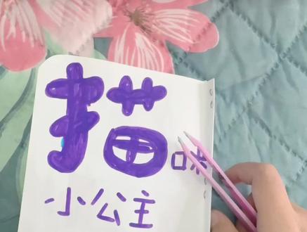 #安静书 #手帐er手帐日常 安静书系列7️⃣-猫咪小公主