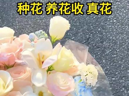 #我的花园世界 #玩游戏 #花园