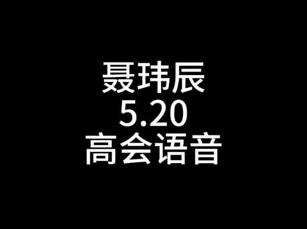 聂玮辰5.20高会语音#聂玮辰#时代峰峻#高会