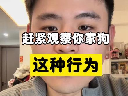 赶紧观察一下你家狗有没有这种行为#养狗经验分享 #养狗的乐趣 #狗 #Panda不养狗