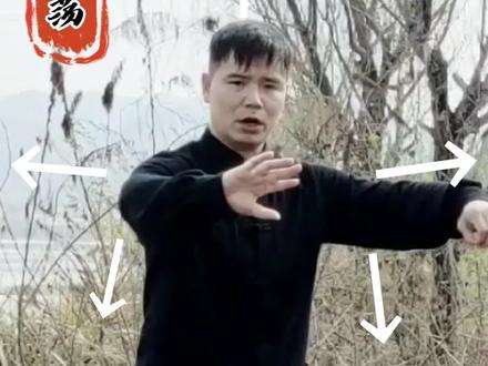 太极拳找内气鼓荡的感觉!#传统文化 #太极拳教学#陈氏太极拳