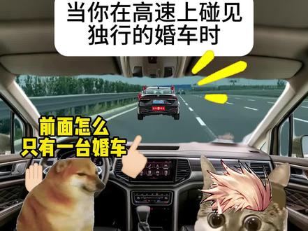 当你在高速上碰到独行的婚车时#猫meme #李婷婚车 #陌生人的善意 #婚车车队 #正能量