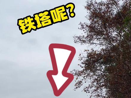 玉泉寺的铁塔去哪里了呢?看这里!#文物古迹 #景点打卡 #玉泉寺 #当阳 #历史古迹