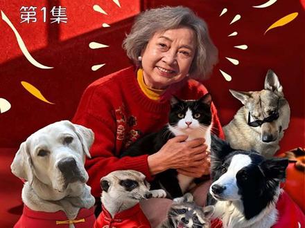 奶奶今年不孤单 #糟糕我家年夜饭逃跑啦 #虐渣 #亲情 #繁花剧场 #短国的夏天 即将新年,球球,贱贱,胖虎,年年,被主人们送到孤寡老人唐奶奶家寄养,此时多年没回家过年过的孙女秦霜带着渣男友回家过年,见这些动物反感不已,一来就要把它们炖了做成年夜饭,唐奶奶极力反对,旺仔跟新来的小伙伴儿们也比秦霜更能感知到唐奶奶的孤单与不易。夜深人静,渣男友溜门撬锁想偷窃唐奶奶抽屉里的拆迁款,被动物们洞悉后渣男友摇人喊来狗贩子,一场渣男狗贩子跟动物们斗智斗勇的闹剧即将拉开帷幕。