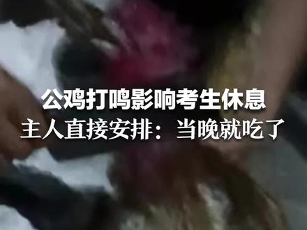 公鸡打鸣影响考生休息 主人直接安排:当晚就吃了