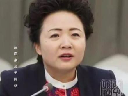 #宁夏回族自治区 退役军人事务厅副厅长马莉方被查