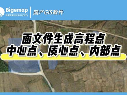 面文件生成高程点,中心点,质心点,内部点 #bigemap国产基础软件 #高程点提取 #GIS教程 #中心点位