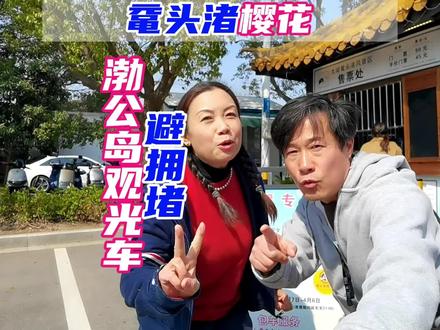 鼋头渚赏樱避拥堵攻略之渤公岛观光车赏樱专线:一个字,效率高!#美丽旅行者 #鼋头渚赏樱攻略 #三月来无锡鼋头渚赏樱吧