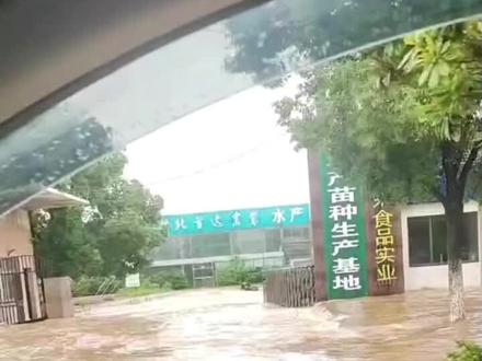 【暴雨中的坚守——致敬广水守护者】
2026年5月24日至25日,一场突如其来的暴雨袭击了湖北随州广水市。大雨如注,短时间内降水量激增,城市道路积水、乡镇河道水位上涨,防汛形势骤然严峻。
然而,暴雨之下,一群身影逆向而行,坚守不退。
多部门联动,驻点守护
城管、交警、住建等部门迅速响应,第一时间奔赴一线。城管队员冒雨清理被堵塞的排水口,徒手挖出杂物;交警在积水中站立指挥交通,引导车辆绕行危险路段;住建部门对工地、老旧房屋、地下车库等重点区域进行不间断巡查,及时排除隐患。每一个驻点,都是他们筑牢的安全防线。
农村防范,不可忽视
暴雨过后,次生灾害风险骤增。特别提醒广大农村地区,家中有留守老人和儿童的,请务必及时查看房前屋后排水情况,关注周边山体、护坡是否有开裂或滑坡迹象。桥梁、水库堤坝极易因水位暴涨出现险情,山体滑坡更是突发且危险。各镇村领导干部需靠前指挥,组织巡查排查,做好应急避险准备,确保一旦发现异常,能够第一时间转移群众。
城市内涝,出行谨慎
暴雨过后,城市低洼路段、涵洞、地下通道容易出现积水,驾车出行请减速慢行,切勿冒险涉水。行人要远离电线杆、广告牌等危险设施,确保自身安全。
致敬守护者
在这场暴雨中,是你们的坚守,换来了千家万户的平安。向每一位奋战在防汛一线的守护者致敬!
暴雨无情,防范先行。请广大市民相互转告,提高警惕,远离危险区域,保护好自己和家人的安全。让我们共同努力,筑牢防汛安全防线,确保人民群众生命财产安全!