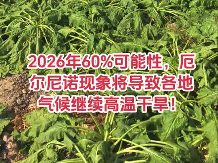 2026年1月1日,气候中心发布最新消息,2025年全国平均气温达11.0℃,再创1961年以来新高,也就是说,我们又度过了有气象记录以来最暖的一年。
预计2026年新疆全年气温将大概率偏高,继续保持升温趋势。
厄尔尼诺异常气候将在2026年60%概率出现,极端性气候又要扎堆来?
近日,NOAA(美国气候中心)发布了新一轮趋势预计在2026年1月至3月,有75%的机会转变为ENSO中性,然而紧接着过后,厄尔尼诺的发展状态就在不断提升,按照NOAA给出的趋势来看,基本上就是重启厄尔尼诺的发展了,并且最高概率已经超过了60%。
全球变暖是一种必然趋势。
全球变暖,极端恶劣天气的发生频次会增加,也是一种必然。
全球变暖,雪山融化速度会加快,也是一种必然。
全球变暖,海平面有明显上升,也将成为现实。
在厄尔尼诺年,南美沿岸国家多暴雨洪涝灾害,而印度尼西亚、澳大利亚东部、非洲东南部等地出现干旱;如果厄尔尼诺长时间维持,也会造成巴西东北部出现干旱,北美出现暖冬等。
我国的影响——在厄尔尼诺发展之下,当年冬季北方地区容易出现暖冬,次年夏季长江流域和江南地区容易出现洪涝,当年或次年夏季,东北地区易出现低温,次年西北太平洋生成台风个数较常年偏少等等。
所以,这些气候变化之下,的确是具有极大的影响了,波动较大,这完全是没有争议的,注意极端性气候扎堆到来就行。
本身在全球变暖之下,极端性气候就比较多了,这趋势又要来厄尔尼诺的发展,那更加需要警惕转变了,这也是没有办法的事情,毕竟气候的复杂性增加了,这就是趋势。
虽然我们从直观性的角度来讲,是多了不少的气候因子影响,但是在全球变暖的角度之下,这一个是最为关键性的,如果全球变暖不解决的话,没有拉尼娜,厄尔尼诺等气候因子的影响,那都会带来气候波动性,极端性的气候发展,主要是全球变暖是根本性的问题。
也就意味着2026年我们在南北疆种植开发土地,将面临着比2025年更加严峻的高温干旱天气的挑战!种植业,首要因素要考虑水资源!没有水,所有投入都将备受煎熬!
订单农业也同样如此!#订单农业 #厄尔尼诺气候 #高温干旱 #水源 #新疆种植