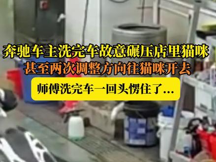 令人揪心!奔驰车主洗完车两次调整方向后故意碾压小猫