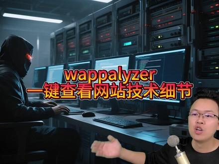 wappalyzer查看网站前端技术-wappalyzer浏览器插件使用方法 #黑客 #红客 #程序员 #运维 #网络工程师