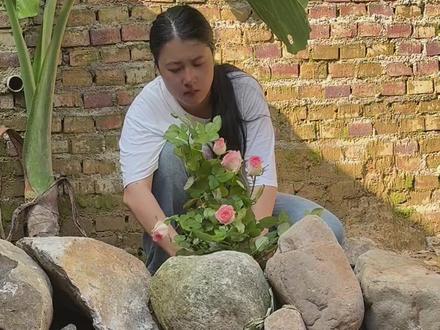 泉眼周围搞绿化,放养军鱼!#山泉水养鱼