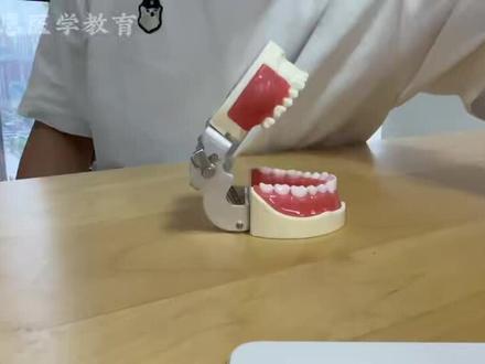口腔技能一般检查|满分操作直接抄✅
口腔医考er集合‼️一般检查这部分千万别丢分😭
作为技能考第一站,操作规范+口述到位直接拿稳基础分
全程标准操作演示视频来啦👇
体位摆放、器械握持、视探叩扪松五大检查
每一步细节、得分话术、易错扣分点全讲透
不用自己瞎琢磨,对着视频练就行
新手小白也能快速拿捏标准流程
考前多练几遍,考场不慌不忙稳拿分💯
备考口腔执业/助理医师的宝子
赶紧码住反复看,技能一站通关!
#口腔实践技能考试 #高特恩口腔医考 #口腔一般检查 #高特恩 #医学生备考