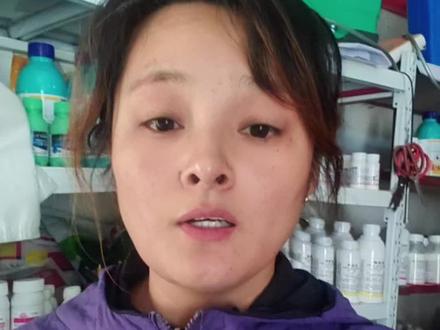 柴胡地除草剂,过了立冬打