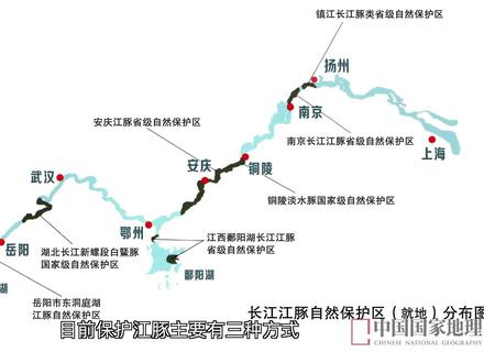 你大概没有从这三个角度看过江豚:天上、水下、城市里(下)